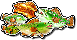 Vara de Pesca